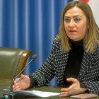La delegada del Gobierno en Castilla y León, Virginia Barcones, en una imagen de archivo