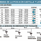 La semana de la pesca en Castilla y León-El Mundo de Castilla y León