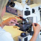 -MIGUEL ÁNGEL SANTOS / PHOTOGENIC