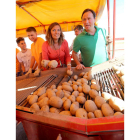 La consejera de Agricultura y Ganadería, Milagros Marcos, asiste a las labores de recolección de patata, en Carpio (Valladolid).-ICAL