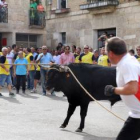 Tras 14 años corriendo por las calles del municipio fuera de la legalidad, el Toro Enmaromado de Astudillo (Palencia) salió hoy con el reconocimiento de Espectáculo Taurino Tradicional, por el que el Ayuntamiento de la localidad llevaba luchando durante más de una década.