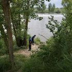 Policía Local de Simancas (Valladolid) y Seprona vigilan la confluencia de los ríos Pisuerga y Duero en busca de un cocodrilo.-  ICAL