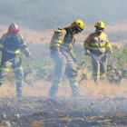 Los trabajadores forestales ayudan a extinguir un fuego.-ICAL