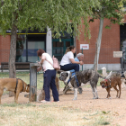 Perros y sus dueños en el parque canino de Parque Alameda de la ciudad de Valladolid.- J.M. LOSTAU