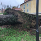 DAÑOS CAUSADOS POR EL TEMPORAL EN SAN MARTÍN DE VALVENÍ