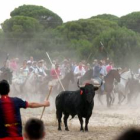 Torneo del Toro de la Vega de Tordesillas (Valladolid)