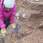 Imagen de las excavaciones en el Cementerio del Carmen en las que se hallaron restos de 30 personas.- E.M.