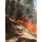 Incendio en Gavilanes-ICAL