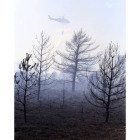 Incendio forestal en Camposagrado (León)-Ical