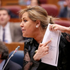 La vicepresidenta de la Junta y consejera de Empleo, Rosa Valdeón, durante su intervención en el Pleno de las Cortes de Castilla y León.-ICAL