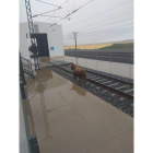 El toro que se escapó del encierro de Medina del Campo sobre las vías del tren