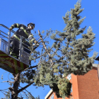 Bomberos intervienen para retirar ramas por fuertes vientos.-E. M.