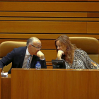 Ruiz Medrano y Silvia Clemente.-ICAL