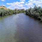 Las algas que oscurecen las aguas del Pisuerga