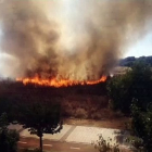 Incendio en Pinar de Jalón 2