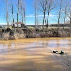 La Guardia Civil recupera el cadáver de una mujer que se ahogó en un río de Palencia el pasado año. GUARDIA CIVIL