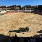 Las fiestas de Nuestra Señora y San Roque de Peñafiel