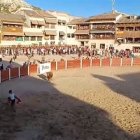 Cogida en la capea  de Peñafiel en Valladolid