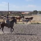 Momento del encierro mixto de Aldeamayor