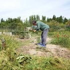 Huerto urbano 'Jardín botánico' en el barrio de La Victoria en una imagen de archivo