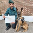 La Guardia Civil contra el maltrato animal.