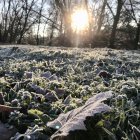 Una imagen de archivo de cencellada en Valladolid