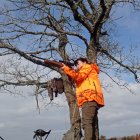 Una montera en una batida celebrada el miércoles en Burgos.