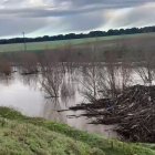 Río Adaja, desbordado a su paso por Valdestillas en Valladolid