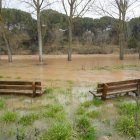 El río Duero desbordado a su paso por Pesquera