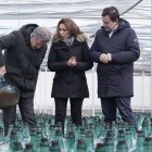 Alberto Núñez Feijóo y Alfonso Fernández Mañueco visitan la bodega Hijos de Alberto Gutiérrez en Serrada (Valladolid).