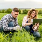 Una pareja de agricultores comprueba el estado fenológico de un cultivo en su explotación.