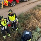 Rescatan a un águila ratonera caída en una chimenea de canal de riego en San Román de Hornija (Valladolid)