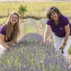 Luz Ruiz en uno de sus cultivos de lavanda, que se encuentra con las flores aún en formación