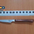 Cuchillo de diez centímetros de hoja de sierra utilizado en la agresión.