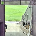 Imagen del césped de este mismo miércoles 6.