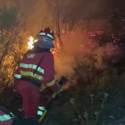 SUBDELEGACIÓN DE LEÓN