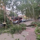 Los bomberos retiran una rama caída en una calle de Valladolid