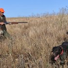 Un aficionado con un buen ramillete de codornices, la pasada temporada.