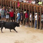Imagen del encierro y la capea en Peñafiel