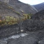 Efectos del incendio que ha afectado al municipio de Oencia (León).