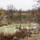 Reserva Biológica Urbana ‘El Tomillo’
