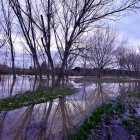 Desbordamiento del Duero a su paso Por Puente Duero