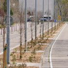 Árboles con el nuevo sistema en la avenida del Real Valladolid