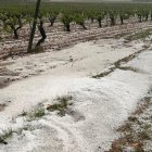 Granizada sobre viñedos en Rueda (Valladolid).