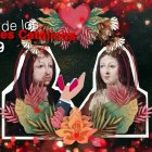 Fuente: INSTAGRAM @VALLADOLIDPATRI