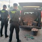 Furgoneta interceptada con los ajos robados.