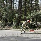 Los bomberos retiran un árbol caído por el viento en Valladolid