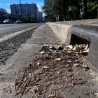 Suciedad en las alcantarillas de Valladolid.