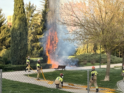 Incendio de un árbol en Villa de Prado.