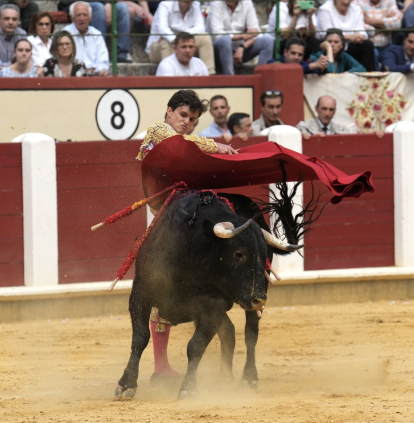 Corrida de toros en la plaza del coso de Zorrilla